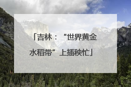 吉林：“世界黄金水稻带”上插秧忙